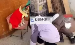 在破房子里和狗做：荒废之地的秘密时光