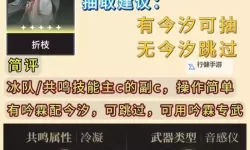 《鸣潮》折枝一图流配装攻略 折枝武器怎么选