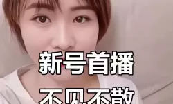 海棠直播在线观看：最新热门直播免费看尽享精彩时刻