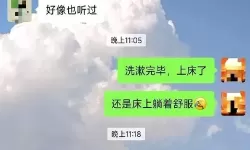 探索精彩世界：宅人聊天室带你畅享二次元生活