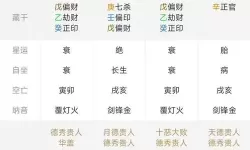 探秘最准免费算命网：免费占卜与未来指南