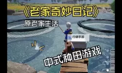 《老家奇妙日记》设定介绍及玩法解析 老家奇妙日记好玩吗