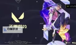 《无畏契约（瓦罗兰特）》虹镜荆棘系列皮肤展示