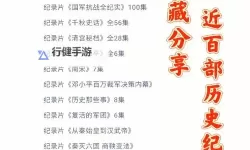 了解您的兴趣：最新观看历史记录解析