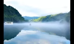 免费在线观看高清8×8×免费视频，无需注册尽享精彩内容