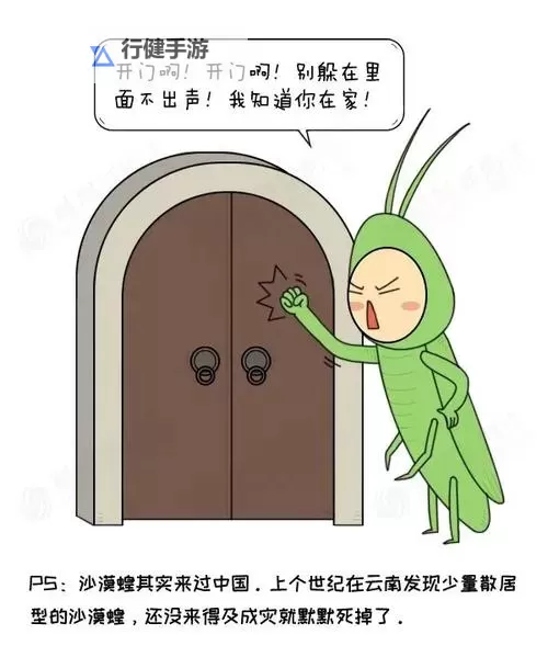 中国会阻止人口黑化吗：未来是否能实现人口素质全面提升图1