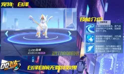 《再见江湖》最好的伙伴 | 盘点经典宠物