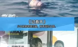 最新上线！免费高清观看近期中文字幕完整版2019免费完整版指南