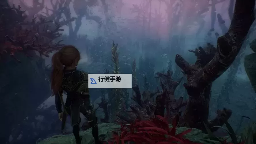 《光与影33号远征队》应急坚壳获取方法 应急坚壳符纹怎么获得图1