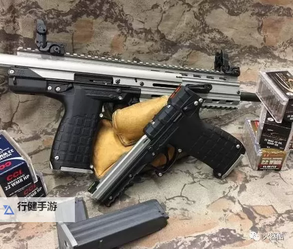 《全境封锁2》奇特手枪自由入手攻略 奇特手枪自由怎么获得图1