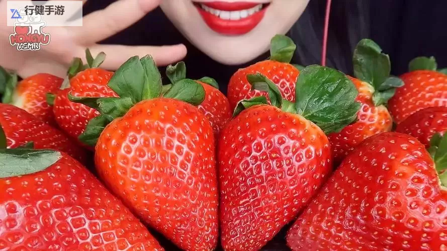 轻松获取:草莓直播下载全攻略与最新资源</assistant图1