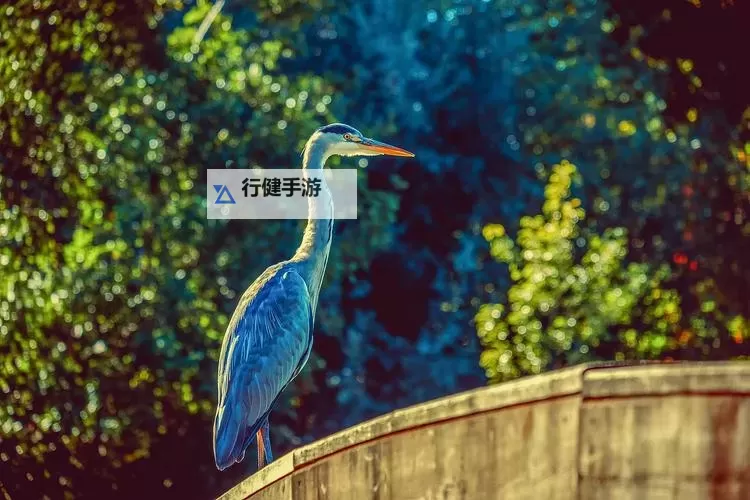 探索高清专业摄影图片GOGO,让视觉盛宴尽在其中图1