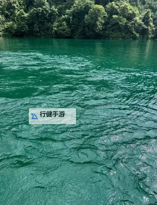 探索精彩世界:最新17c免费视频推荐与在线观看指南图1