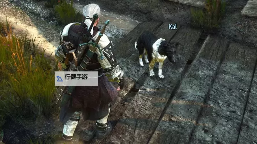 《巫师3》白狼全家福及武器符文彩蛋详解图1