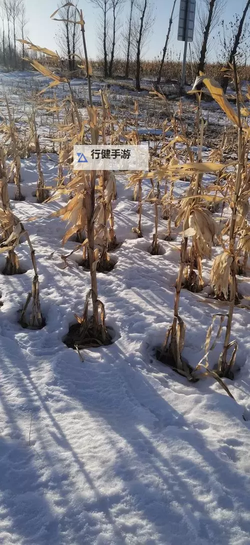 大都督双开挂机软件推荐 怎么双开大都督详细图文教程图1