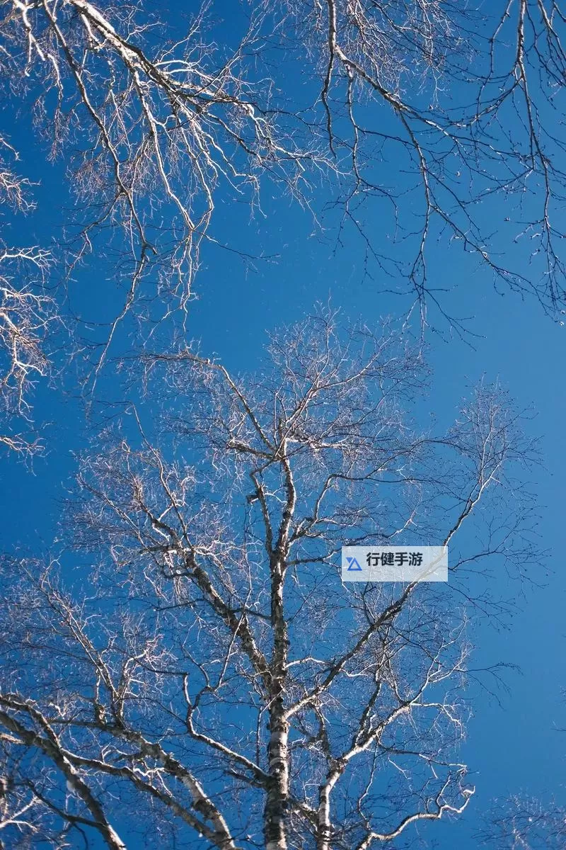 大都督双开挂机软件推荐 怎么双开大都督详细图文教程图2