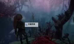 《光与影33号远征队》应急坚壳获取方法 应急坚壳符纹怎么获得