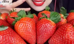 轻松获取：草莓直播下载全攻略与最新资源</assistant