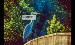 探索高清专业摄影图片GOGO，让视觉盛宴尽在其中