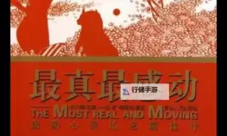 最感动MV盘点：那些令人动容的经典之作