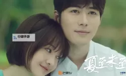 夏至未至电视剧免费观看完整版高清在线观看攻略