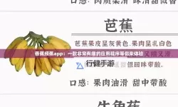 香蕉APP官网：畅享创新体验的官方平台