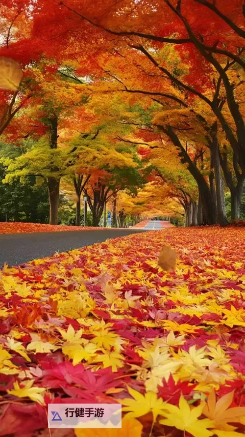 探索全新娱乐体验:X8X8拨牐拨牐X8免费视频8文字全解析图1