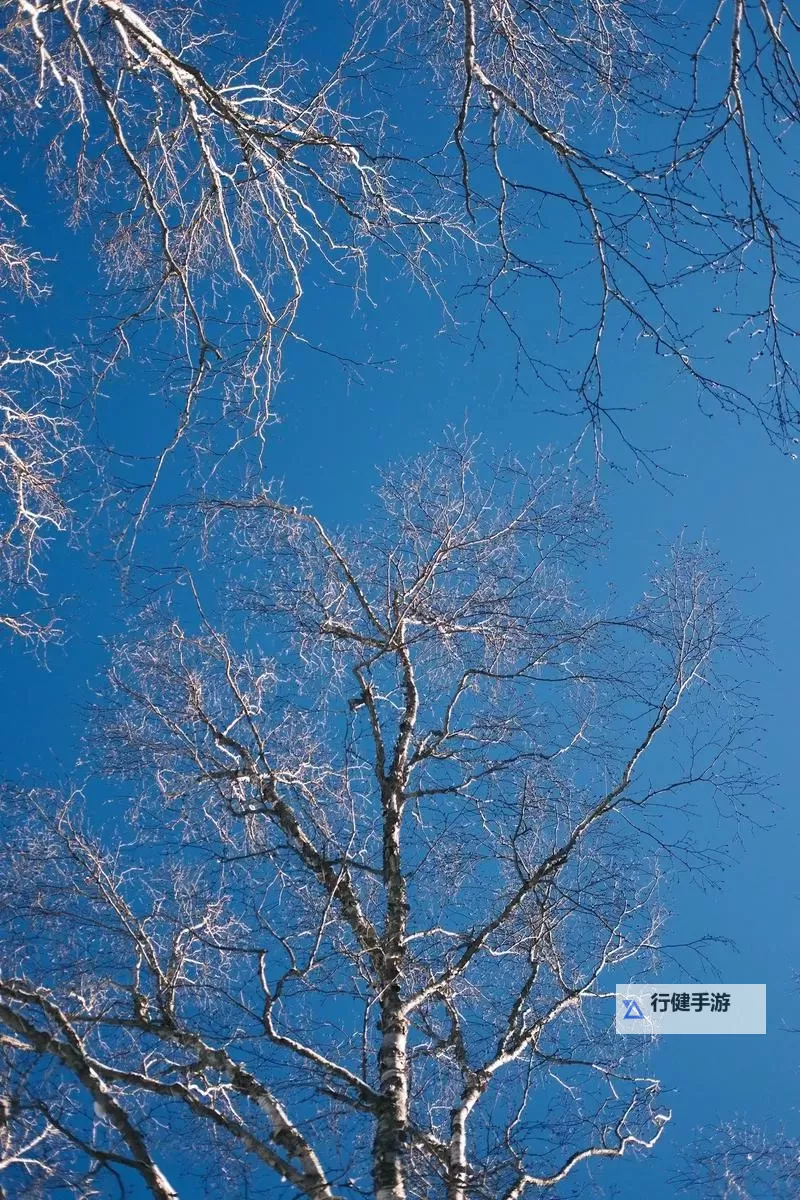 大都督双开挂机软件推荐  怎么双开大都督详细图文教程图1