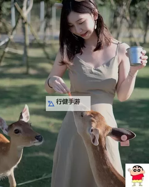 探索极致魅力：99热国家精品全景揭秘图1