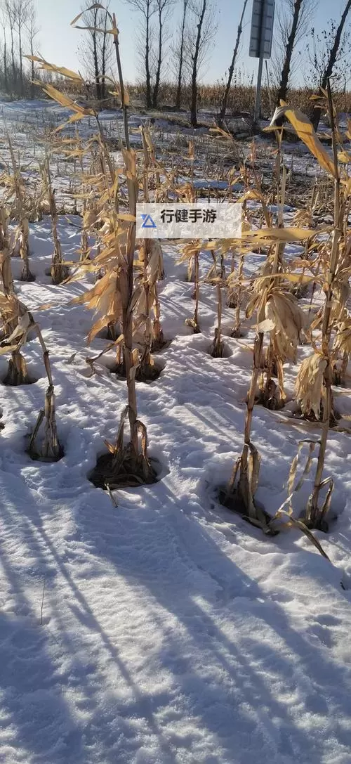 大都督双开挂机软件推荐  怎么双开大都督详细图文教程图2