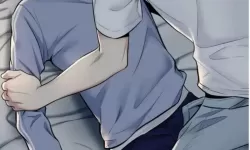 免费在线观看：优质双男主网站在线播放推荐