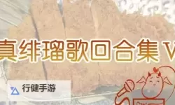 中国BGMBGMBGM老妇XO：揭示背后鲜为人知的故事