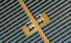 探秘中国无码电影的现状与发展趋势