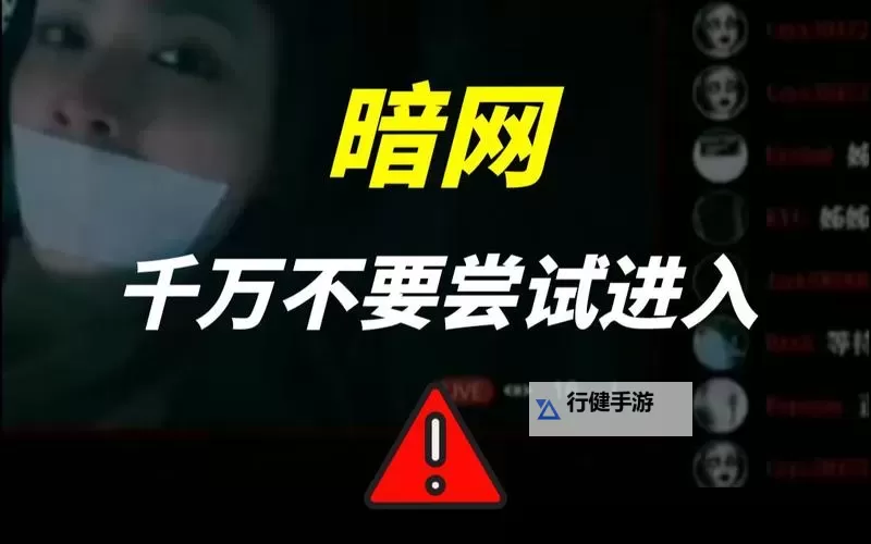 探秘《91暗网免费畅享版》：真相与隐秘的边界图1