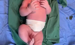 揭秘最好看的BB啥样的：从童真到甜美全都在这里