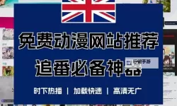 成年人在线观看视频网站：安全便捷的观看平台推荐