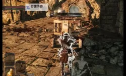 《黑暗之魂2》鸡腿流怎么加点 鸡腿流加点心得