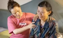 探索真实的单亲乱：家庭变革中的真相与挑战