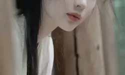 高清在线播放在线视频国产区11p，精彩内容尽在其中