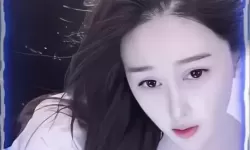 探索中文精品一区二区三区四区：全面解析中国网络文学的黄金区域