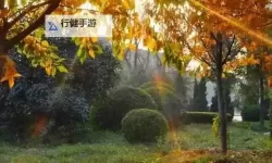 《勇者斗恶龙英雄2》小金币获得方法及兑换道具一览 小金币怎么获得