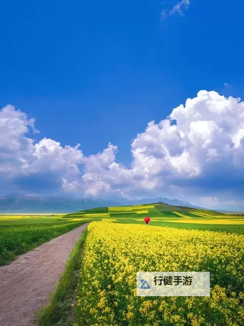 《暗黑破坏神4》BD网站网址分享 BD网站网址是什么图1