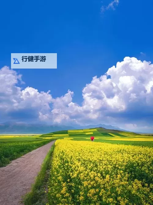 99r免费视频观看：在光影深处寻找真实的自己图2