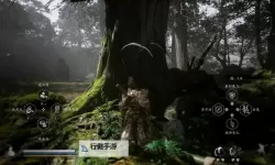 《黑神话悟空》二周目禁字咒伤害暴击流BD