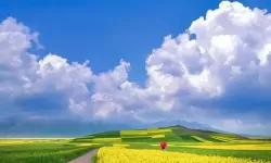 《暗黑破坏神4》BD网站网址分享 BD网站网址是什么