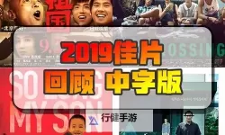 最好的2019国语中字：年度影像清单与深度评析