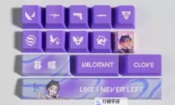 《无畏契约》Zekken键鼠设置一览