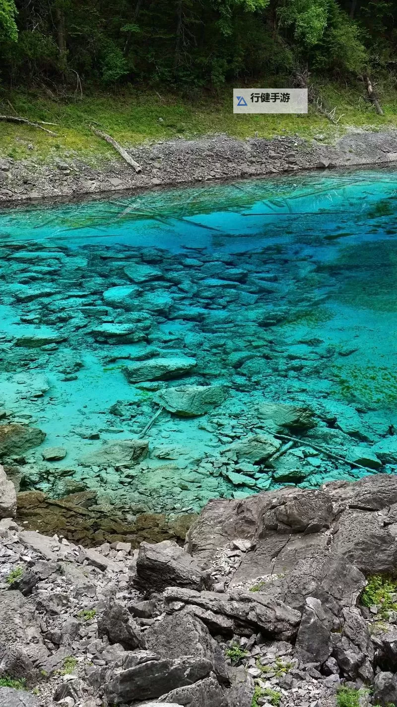 《潜行者2切尔诺贝利之心》通关流程图文攻略图1