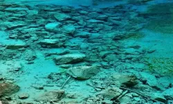 《潜行者2切尔诺贝利之心》通关流程图文攻略