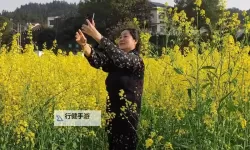 高中乐队明星如何双开 2021最新双开神器来袭